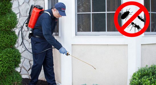 Küçükçekmece Kene İlaçlama böcek ilaçlama ve haşere kontrolü — ilaclama-tr.com